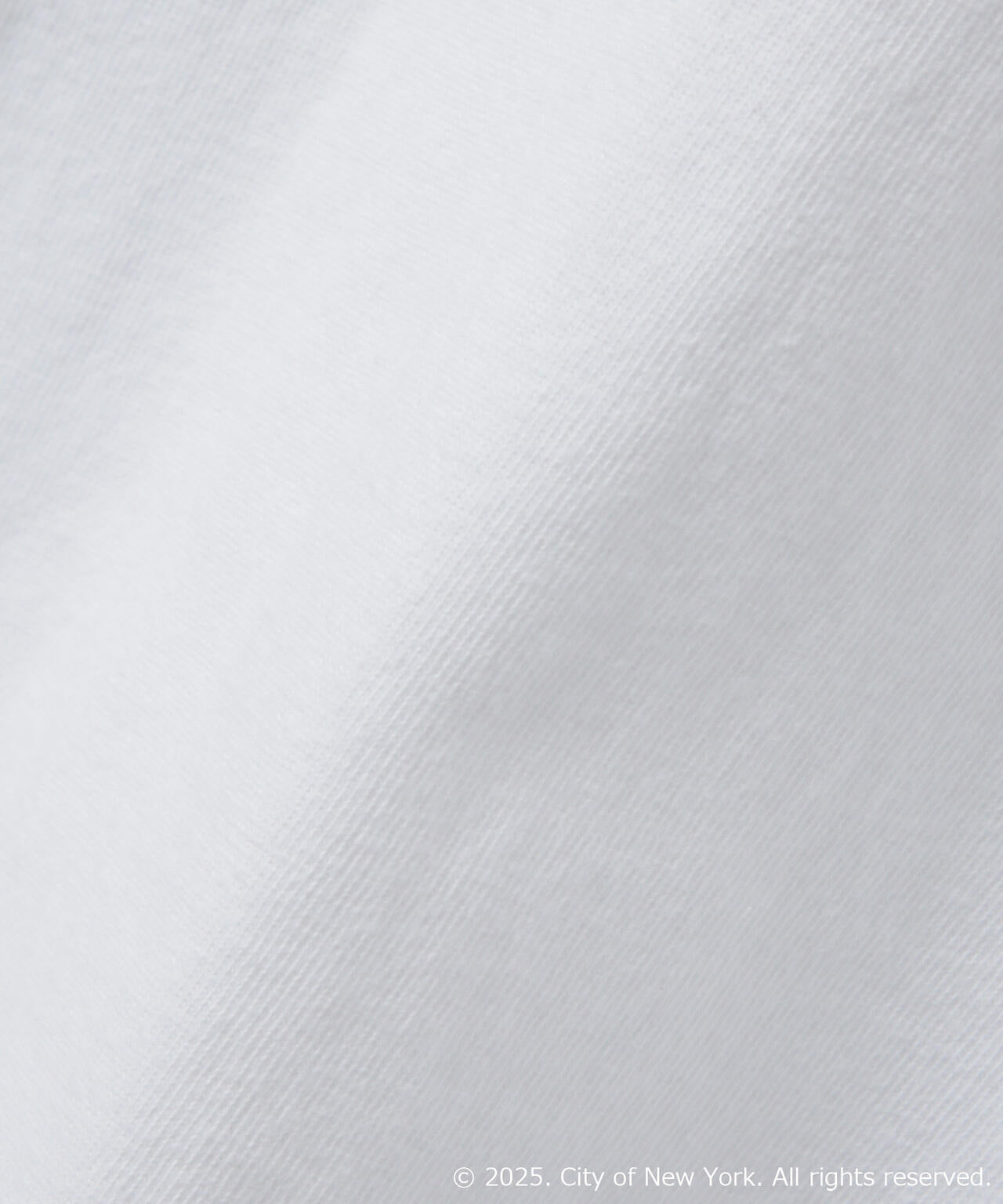 別注GOOD ROCK SPEED NYC シルバー箔プリントTシャツ