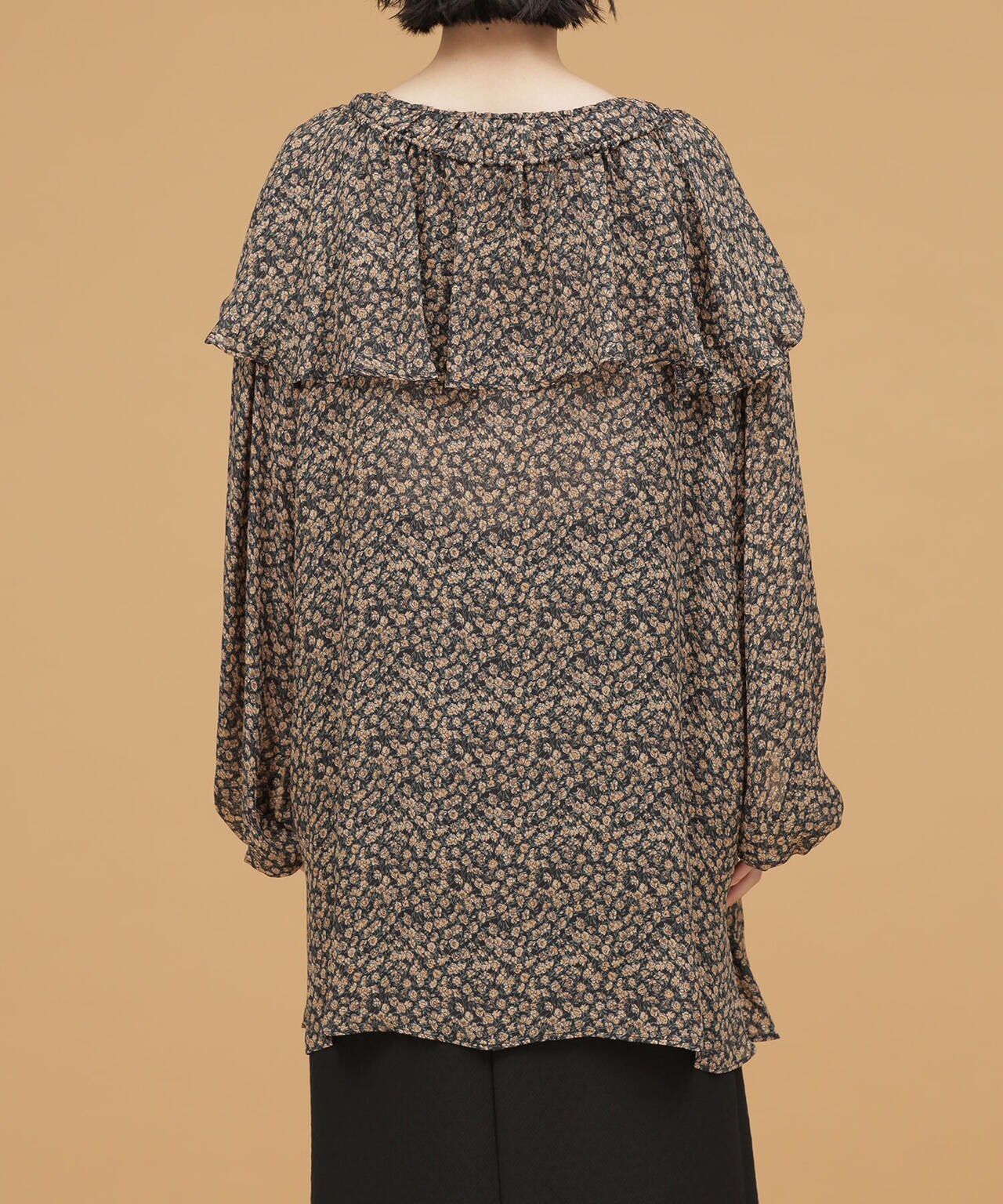 75634eb9-cdaa-563c-8645-c2d77bca97f8_Image