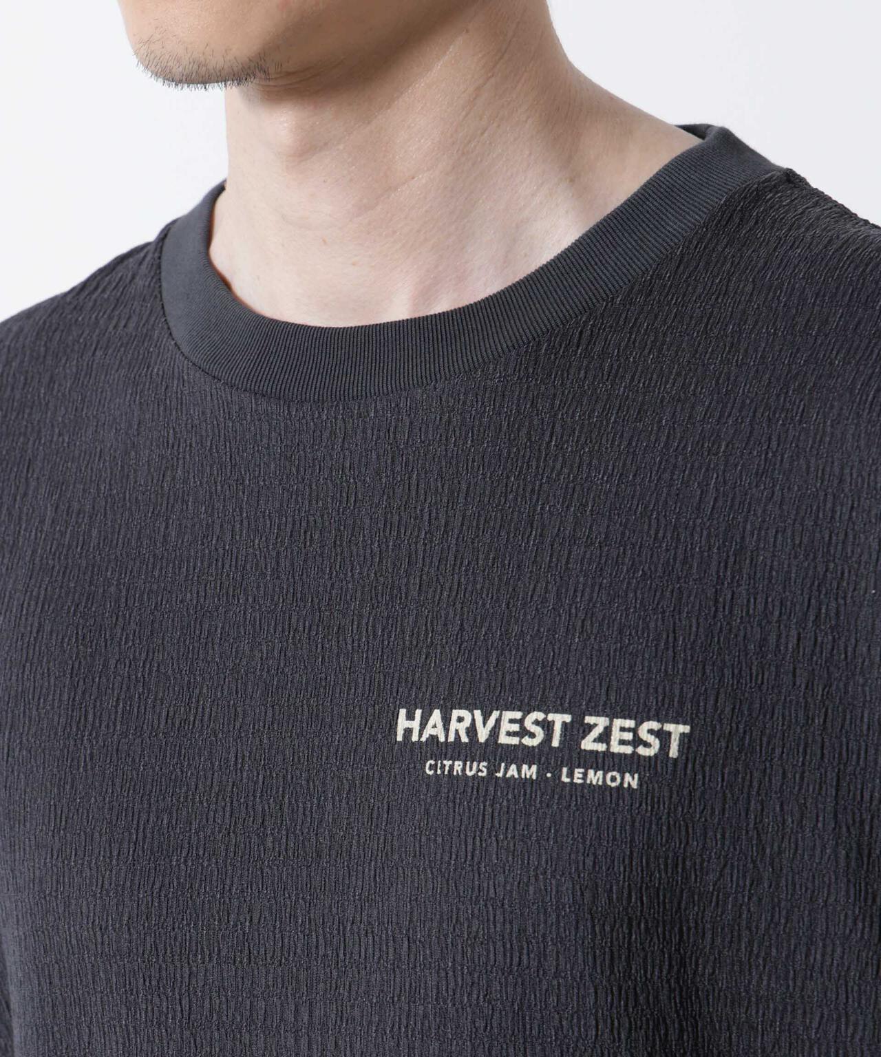 楊柳プリントTシャツ 半袖