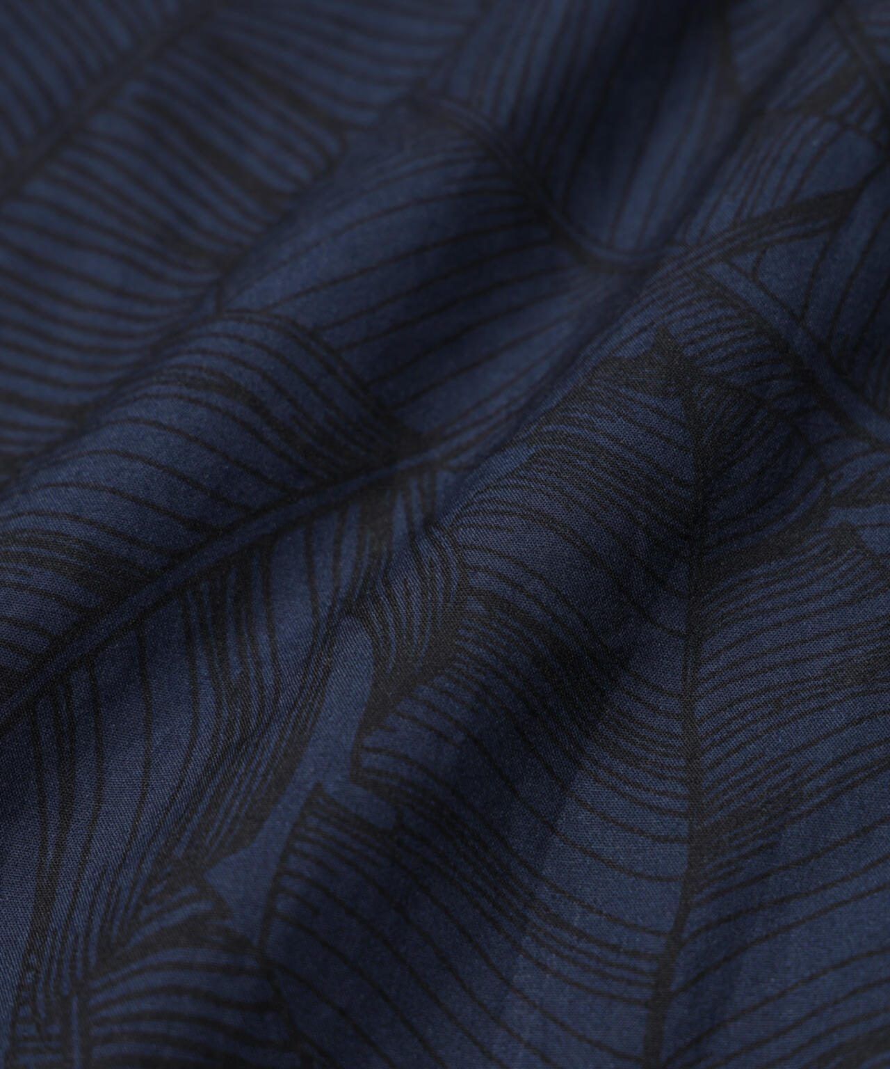 8a489e53-d340-5895-b329-40a0f4d09d6a_Image