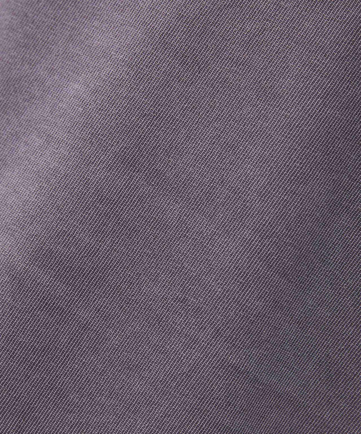 WEB限定/度詰めプレーティングフェードカラークロップドTシャツ長袖