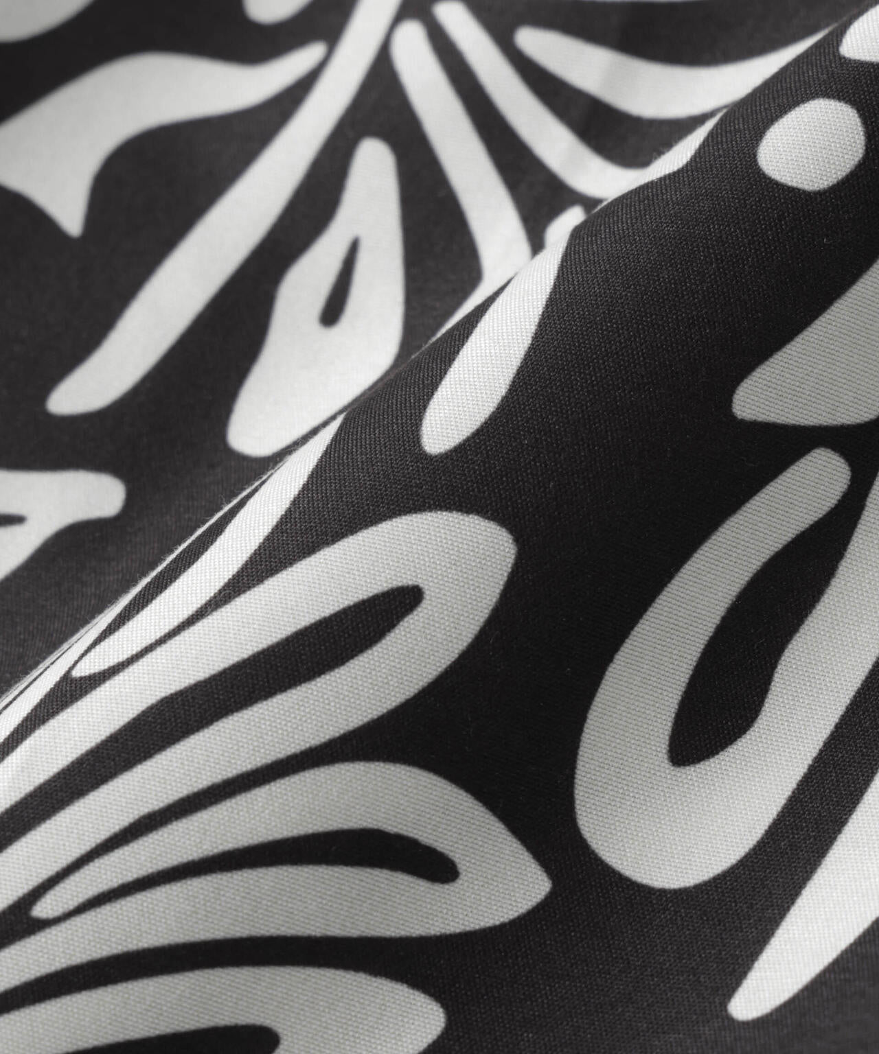 15166155-d238-5ac6-a6fc-ff8f22cf1f4a_Image