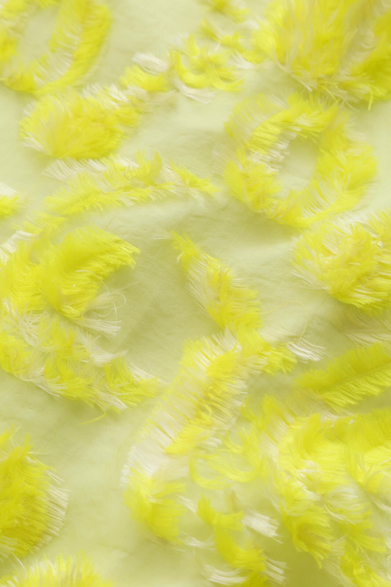 f6fc56b2-7c2e-5f25-8959-49433e189e36_Image