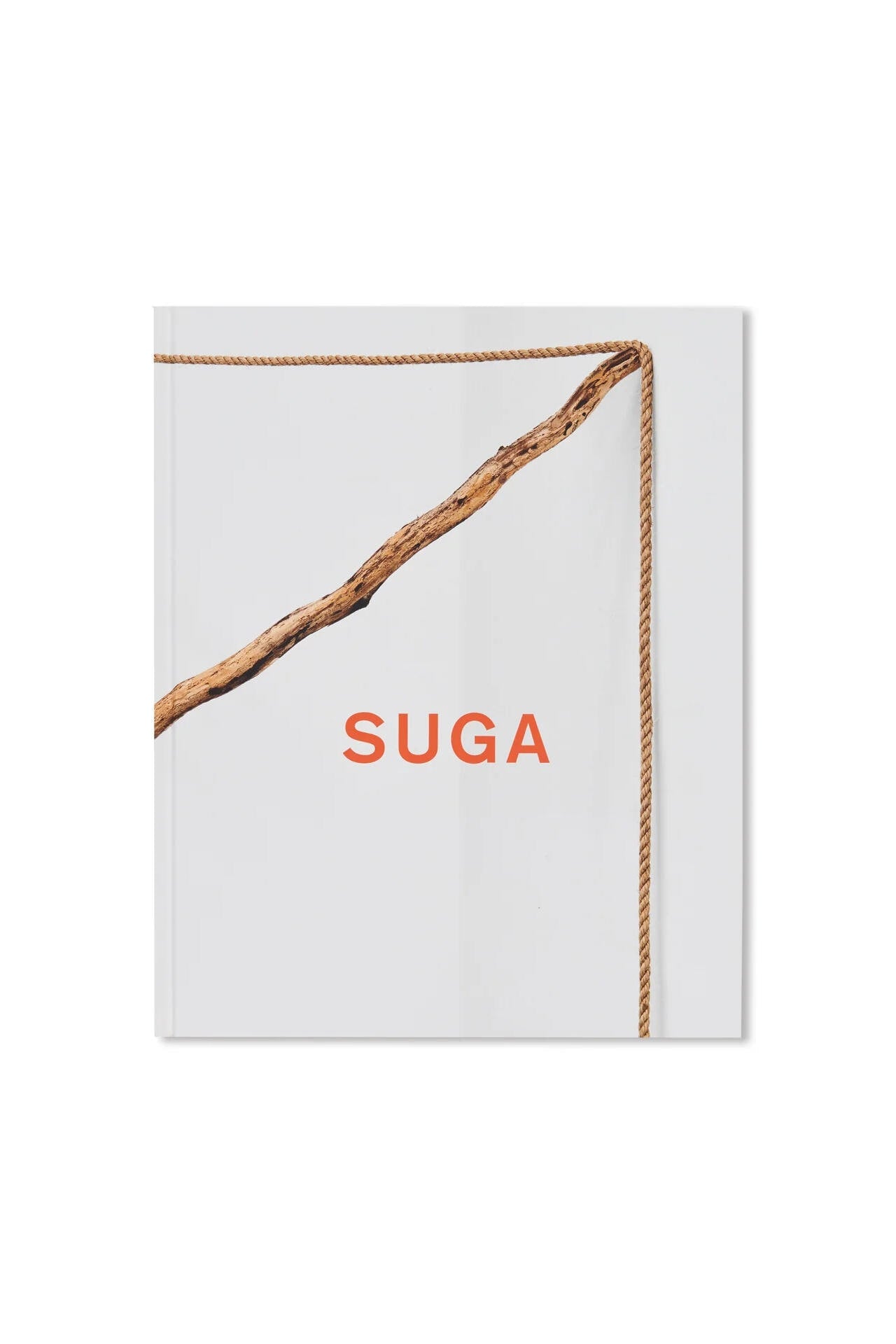 KISHIO SUGA (2013) by Kishio Suga