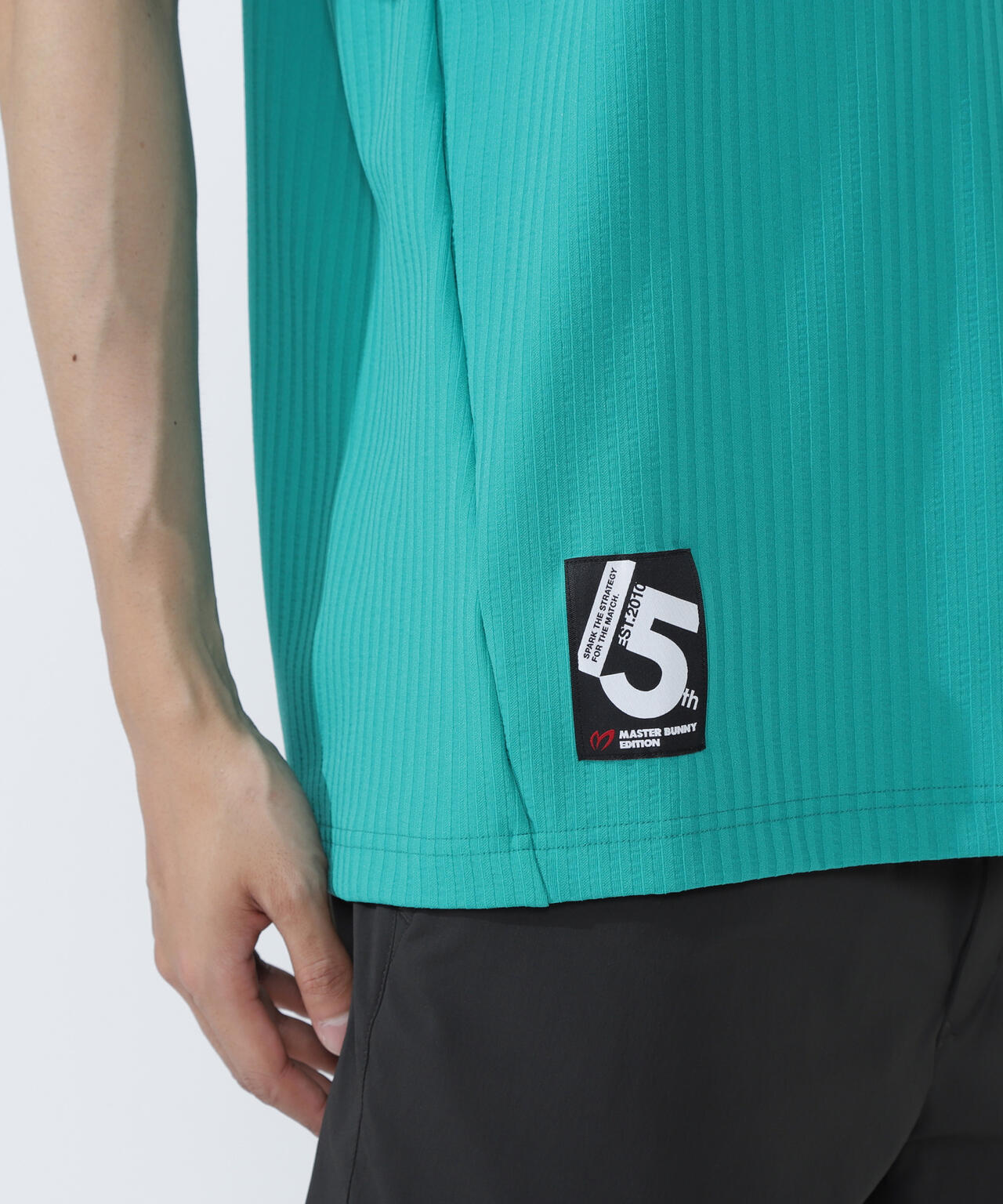 75dフルダルサッカーストライプ半袖ハイネックカットソー