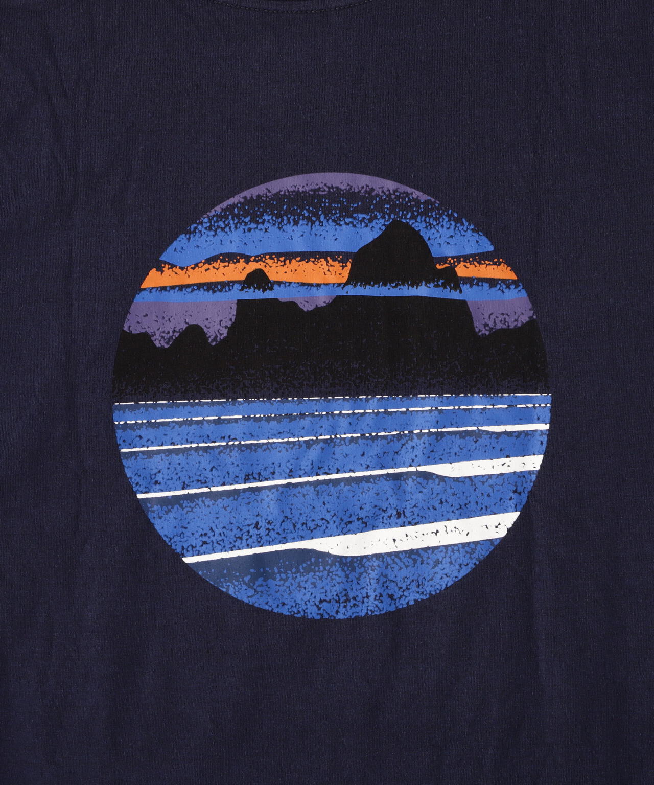 Patagonia/パタゴニア ロングスリーブ・ステンシル・レスポンシビリティー