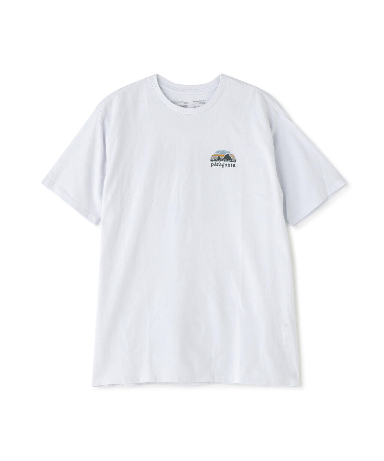 Patagonia/パタゴニア メンズ・スカイライン・ステンシル・レスポンシビリティー 37673