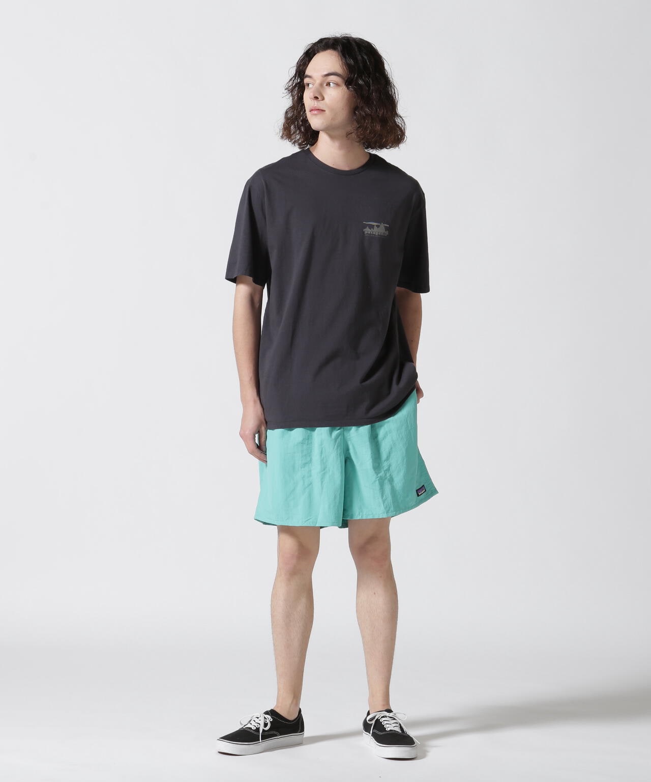 Patagonia/パタゴニア メンズ・'73 スカイライン・オーガニック・Tシャツ 37534