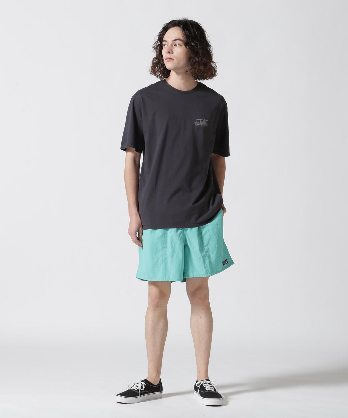 Patagonia/パタゴニア メンズ・'73 スカイライン・オーガニック・Tシャツ 37534