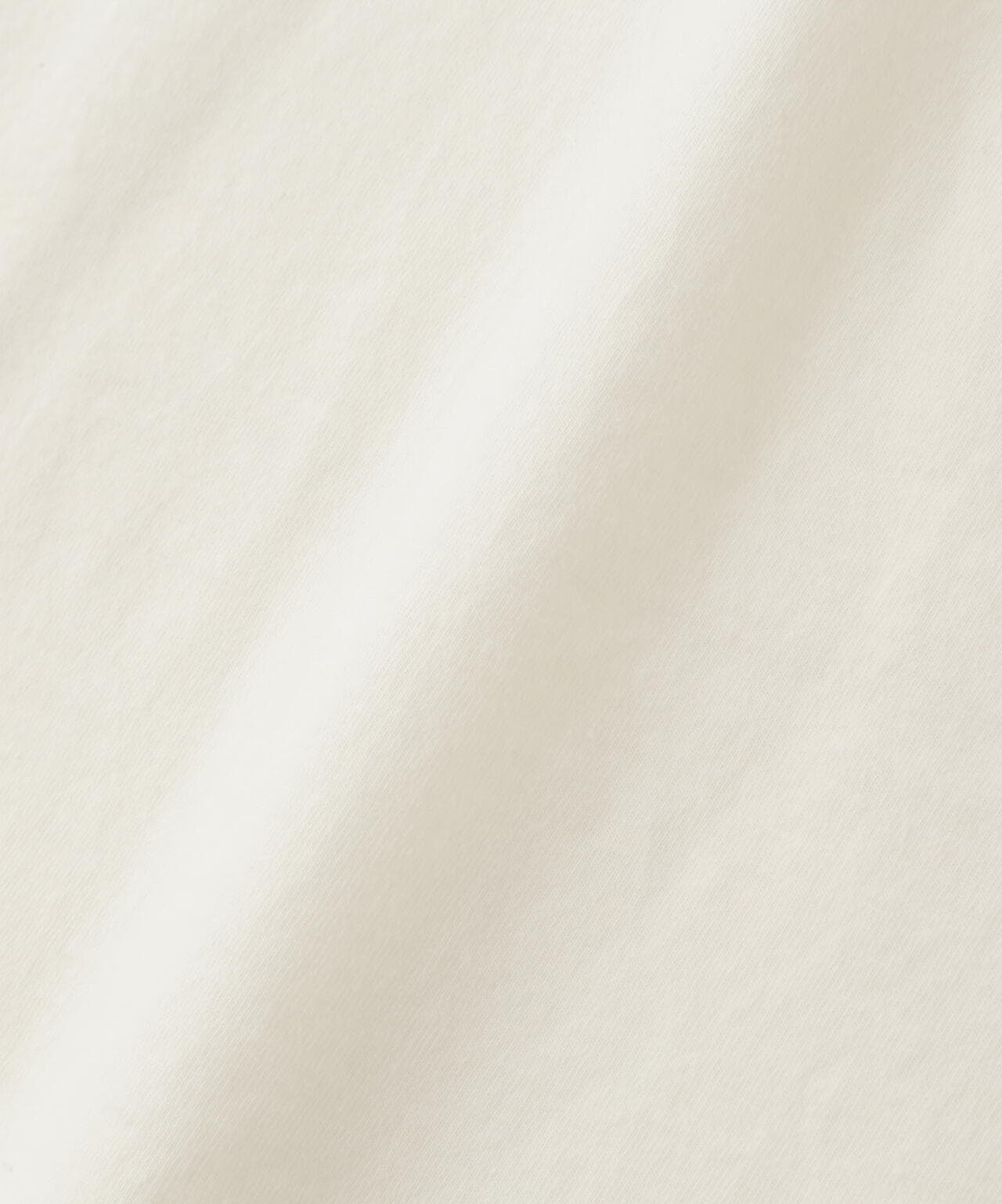 Patagonia/パタゴニア メンズ・'73 スカイライン・オーガニック・Tシャツ 37534