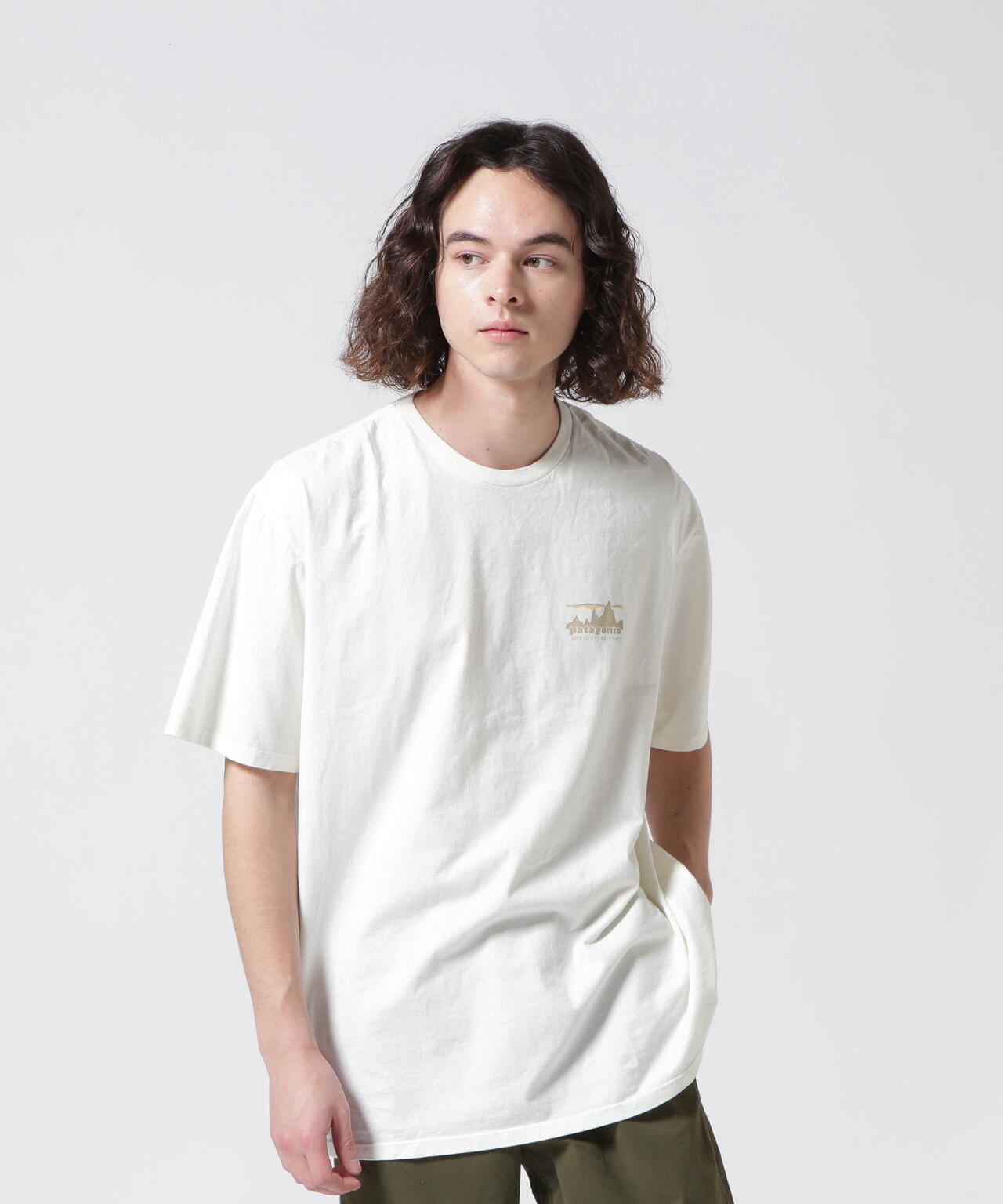 Patagonia/パタゴニア メンズ・'73 スカイライン・オーガニック・Tシャツ 37534