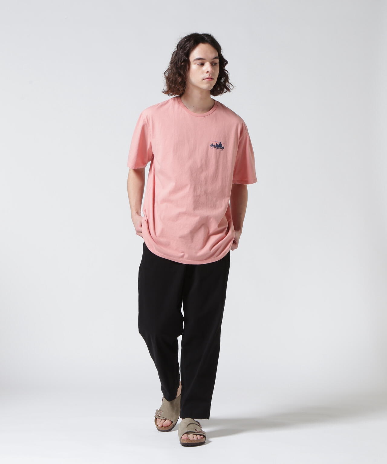 Patagonia/パタゴニア メンズ・'73 スカイライン・オーガニック・Tシャツ 37534