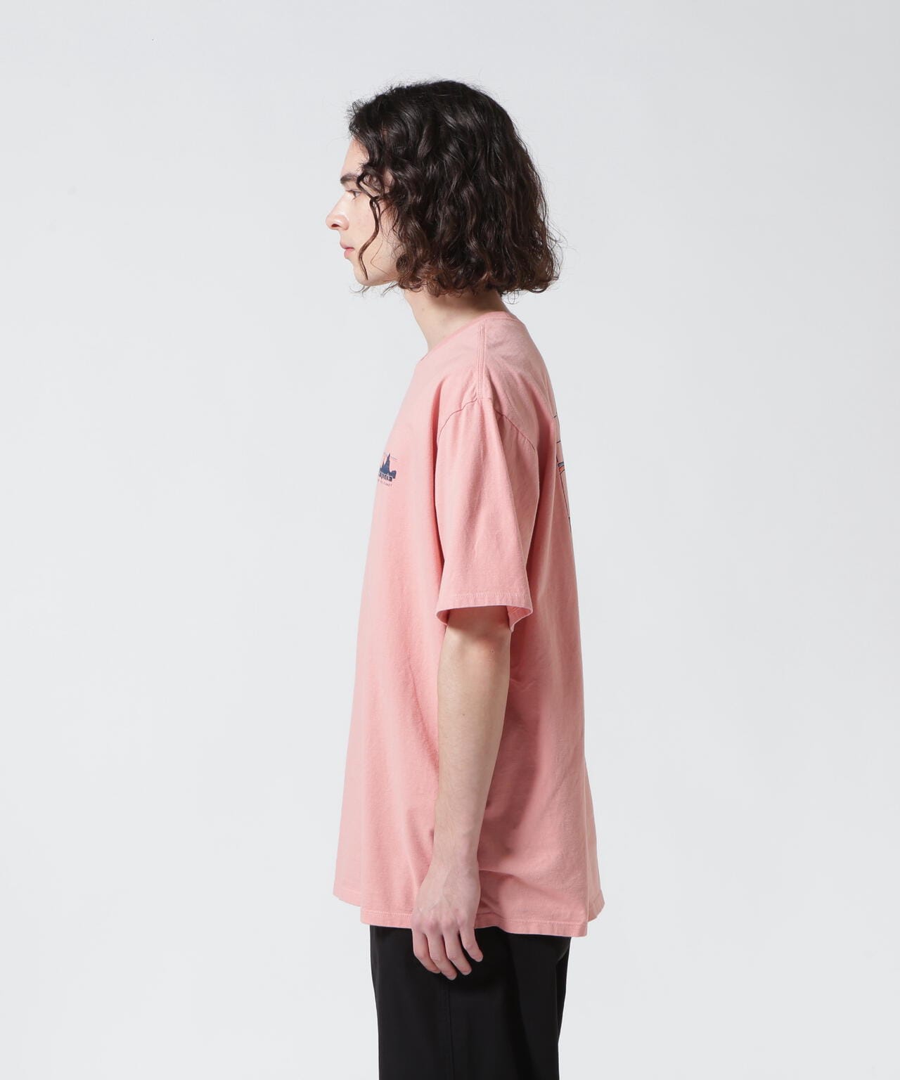 Patagonia/パタゴニア メンズ・'73 スカイライン・オーガニック・Tシャツ 37534