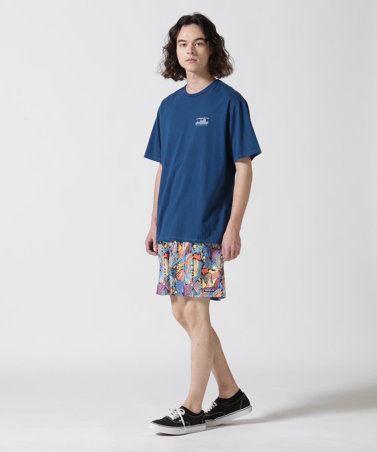 Patagonia/パタゴニア メンズ・'73 スカイライン・オーガニック・Tシャツ 37534