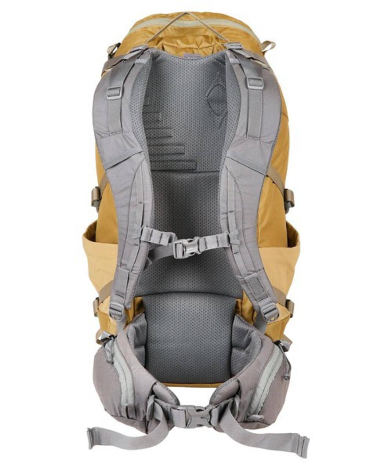 c91ab96b-4ee1-57a7-9c16-4cc781c329f1_Image