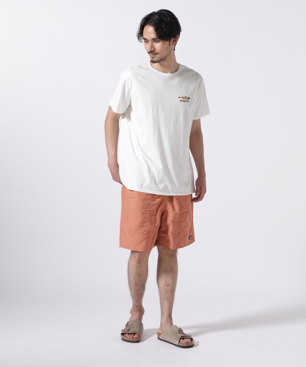 Patagonia/パタゴニア ダイブ&ダイン・オーガニック・Tシャツ