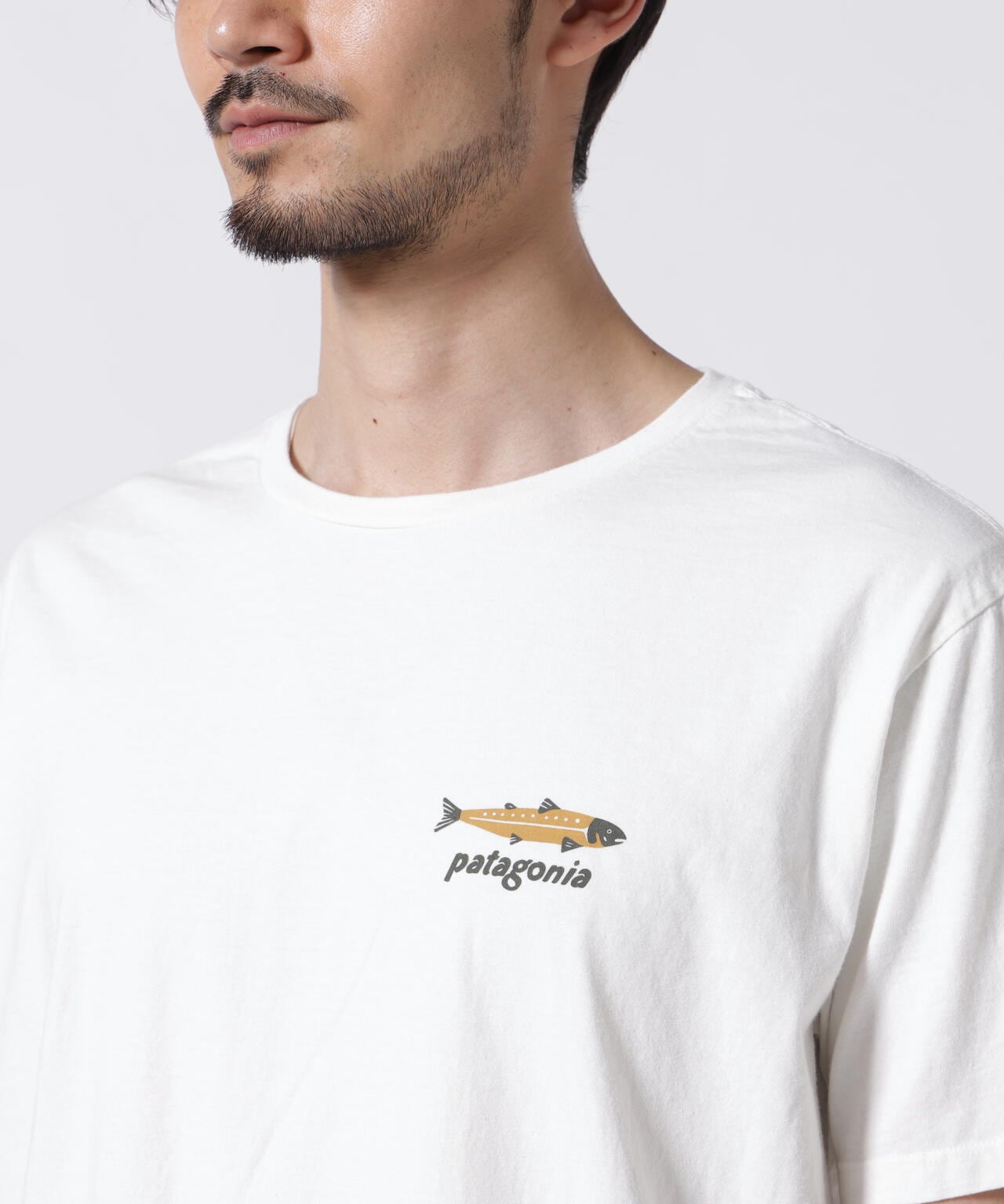 Patagonia/パタゴニア ダイブ&ダイン・オーガニック・Tシャツ