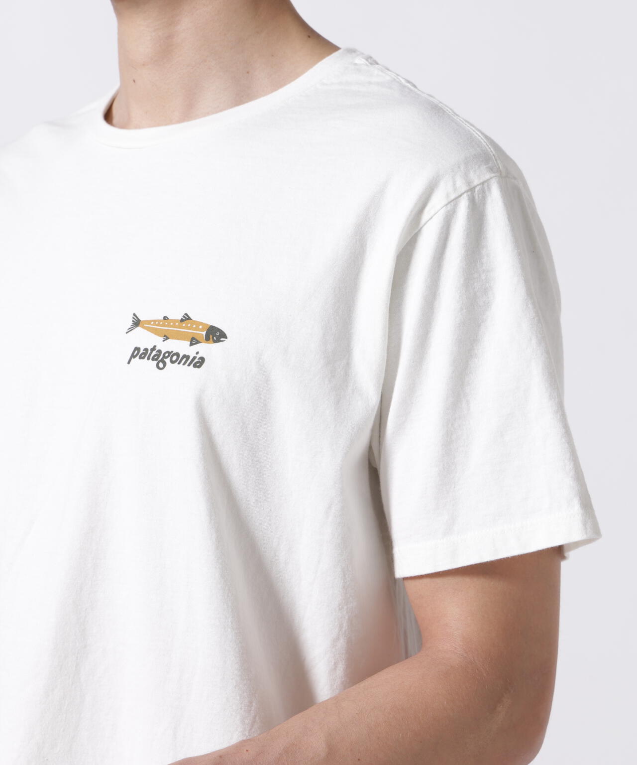 Patagonia/パタゴニア ダイブ&ダイン・オーガニック・Tシャツ