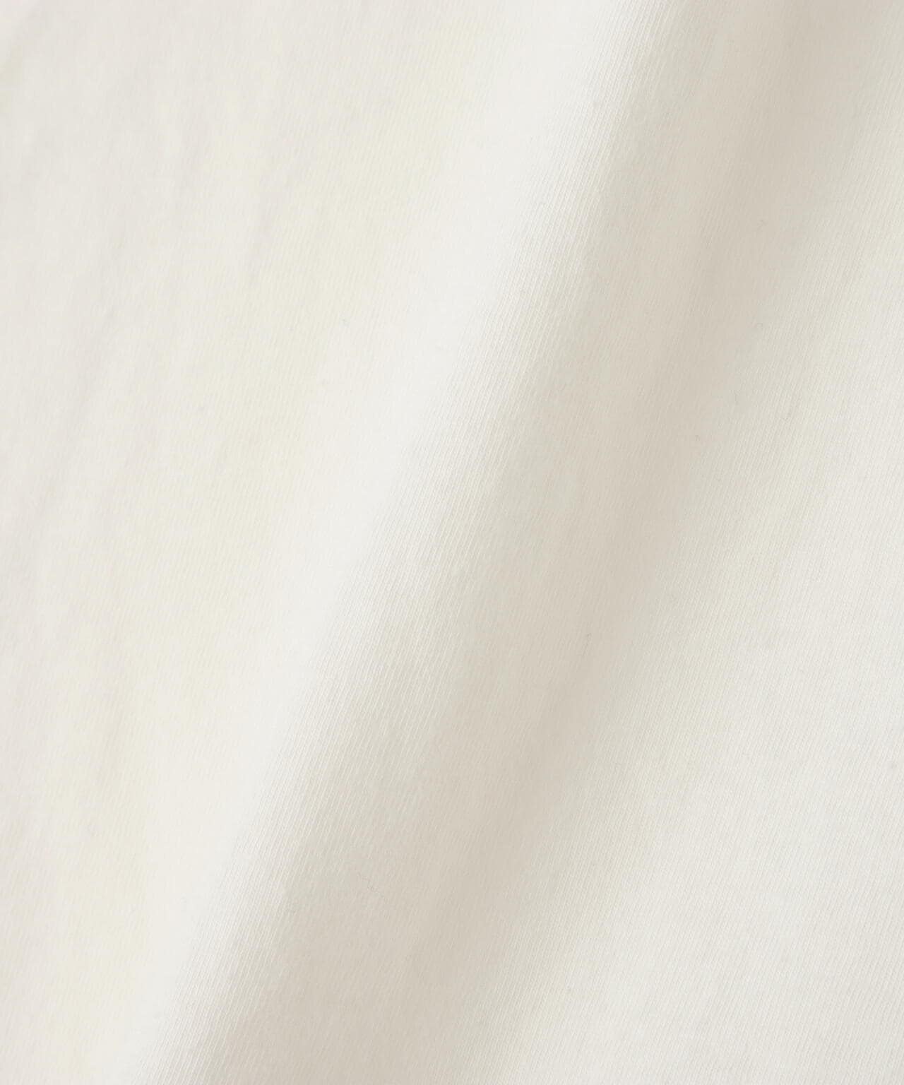 Patagonia/パタゴニア ダイブ&ダイン・オーガニック・Tシャツ