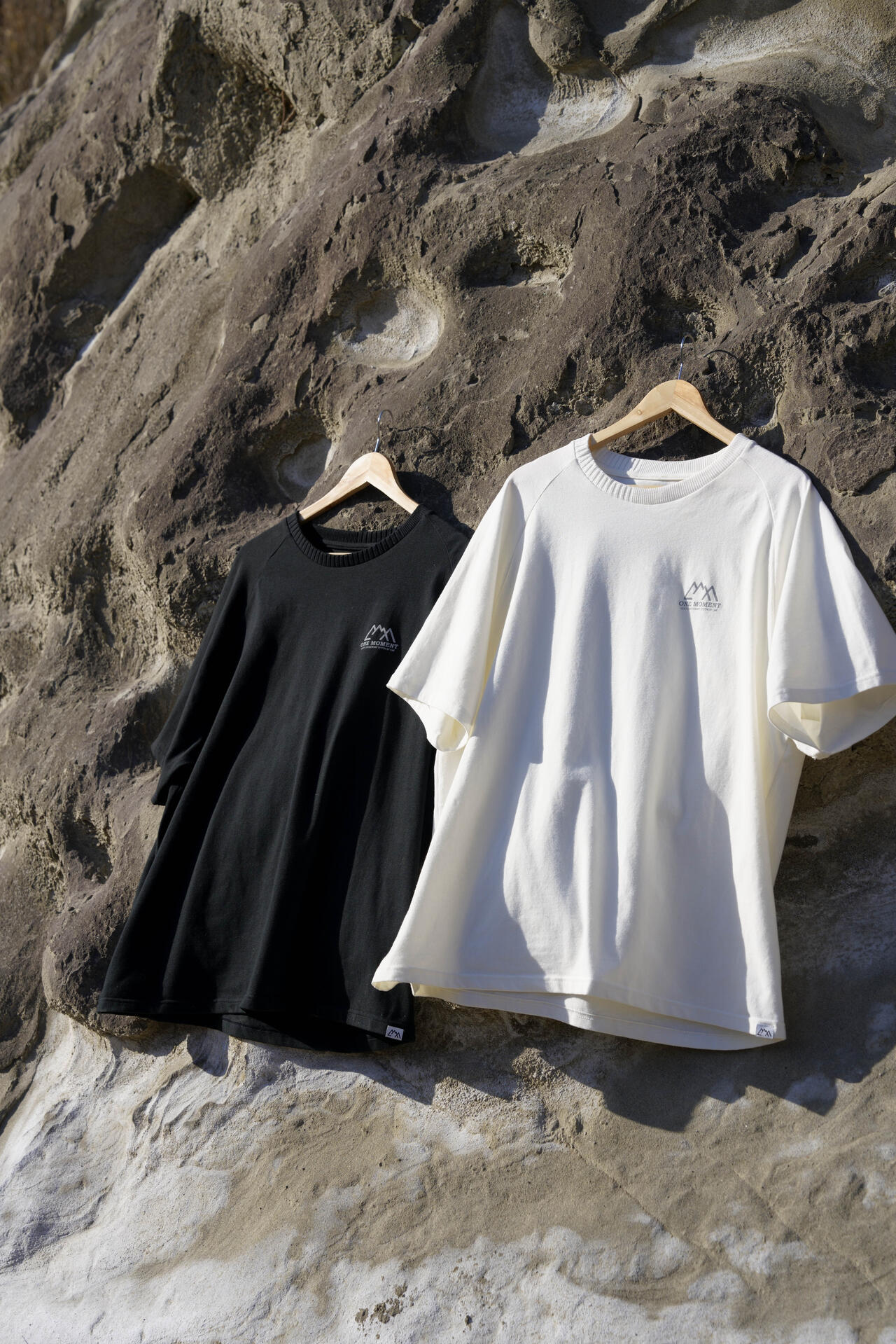 92ee1097-e54b-53a8-aeb9-fdac2c062730_Image