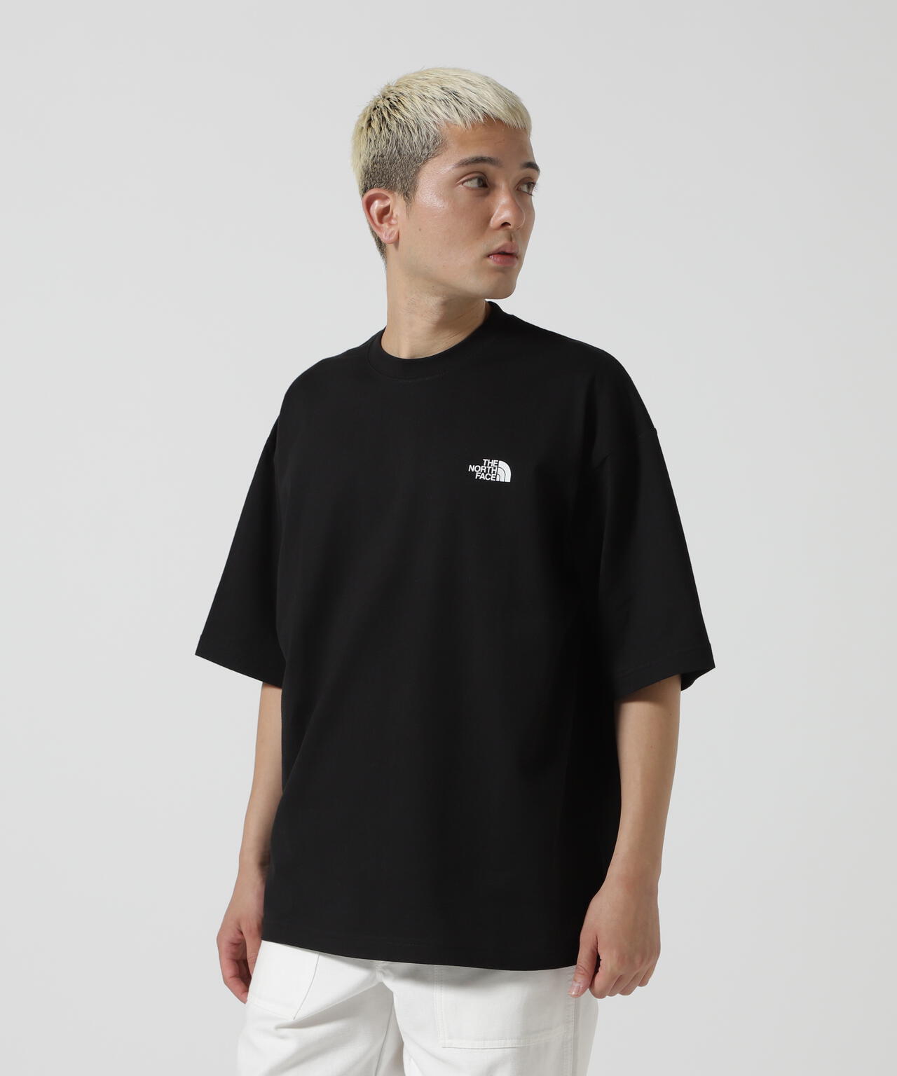 THE NORTH FACE S/S simple color scheme tee NT32434