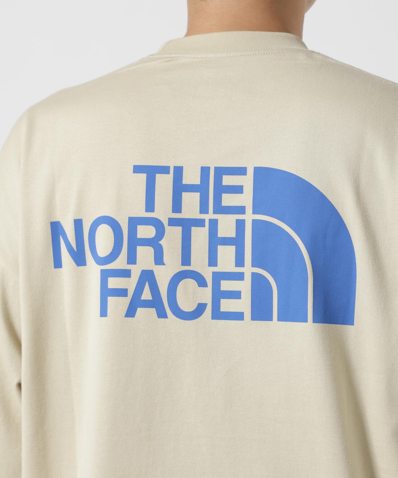 THE NORTH FACE S/S simple color scheme tee NT32434