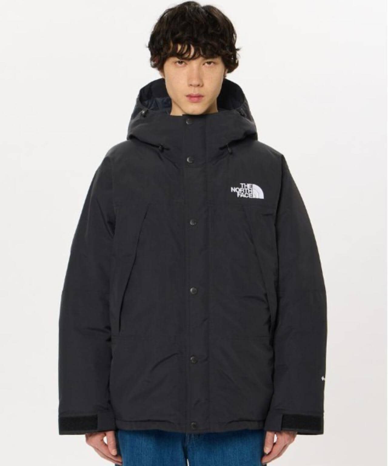 THE NORTH FACE /ザ・ノース・フェイス Mountain Down Jacket