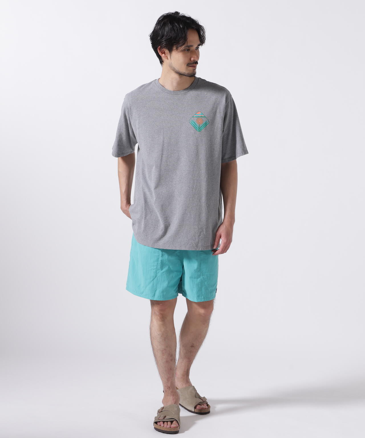 Patagonia/パタゴニア メンズ・バギーズ・ショーツ 5インチ