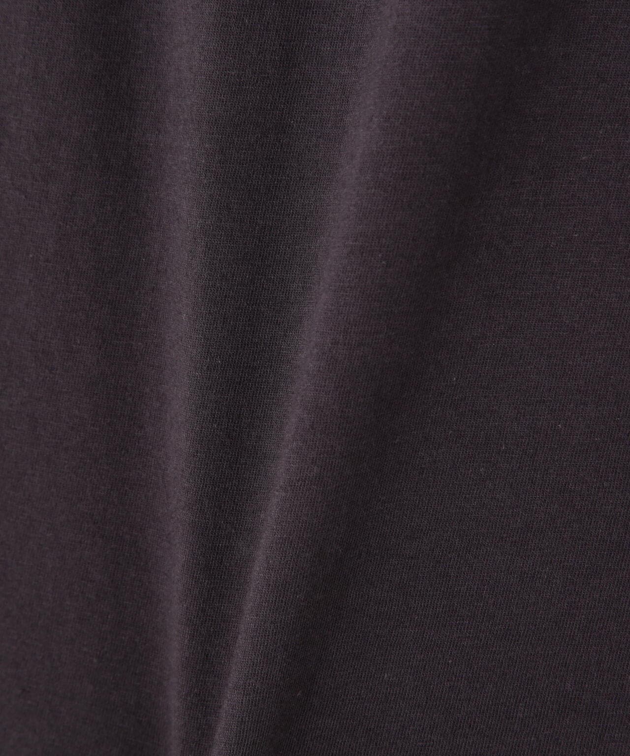 Patagonia/パタゴニア メンズ・'73 スカイライン・オーガニック・Tシャツ