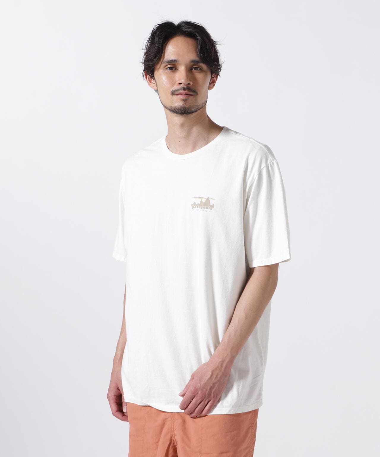 Patagonia/パタゴニア メンズ・'73 スカイライン・オーガニック・Tシャツ