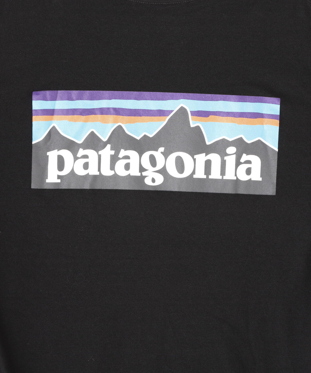 Patagonia/パタゴニア メンズ・ロングスリーブ・P-6ロゴ・レスポンシビリティー