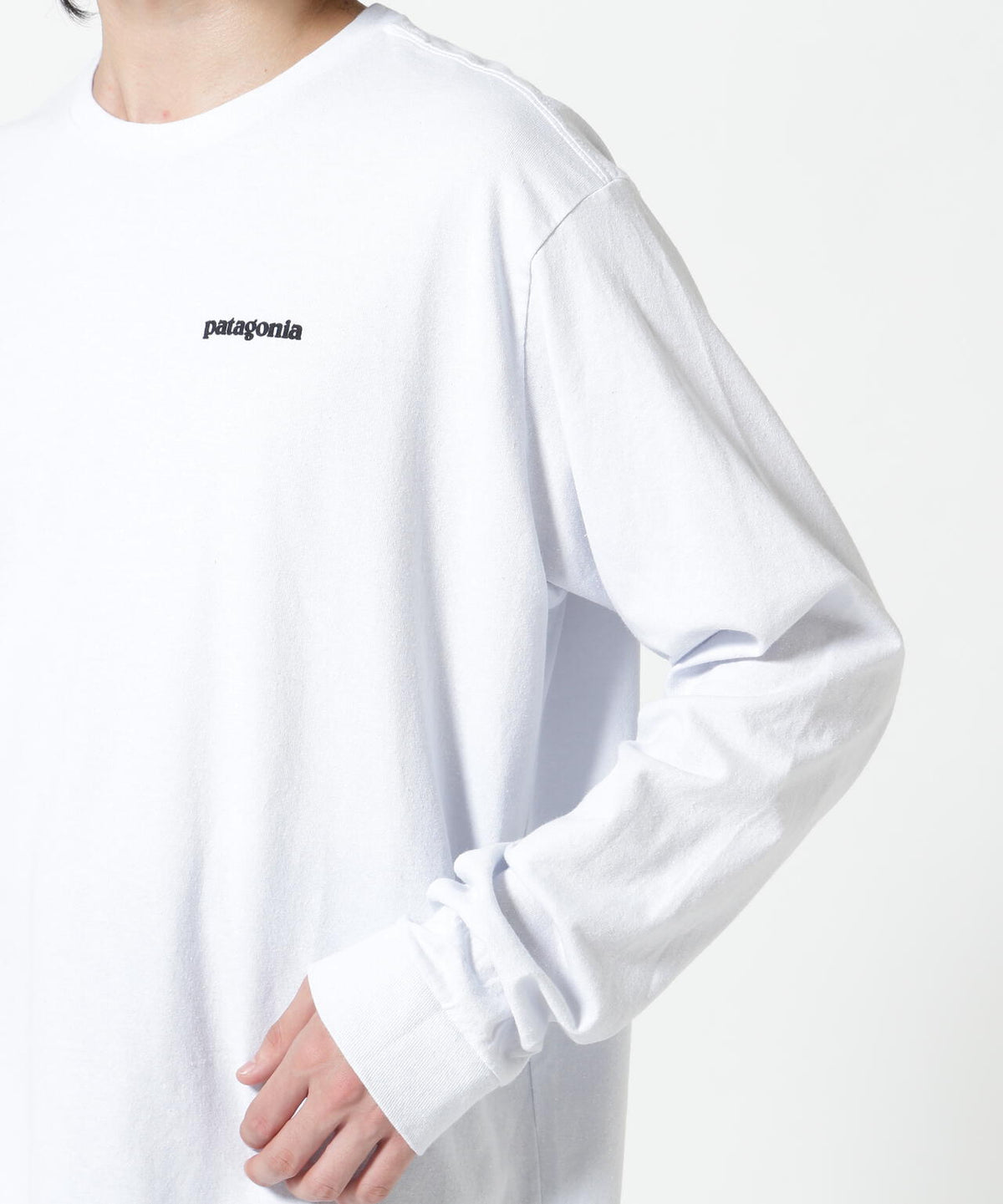Patagonia/パタゴニア メンズ・ロングスリーブ・P-6ロゴ・レスポンシビリティー