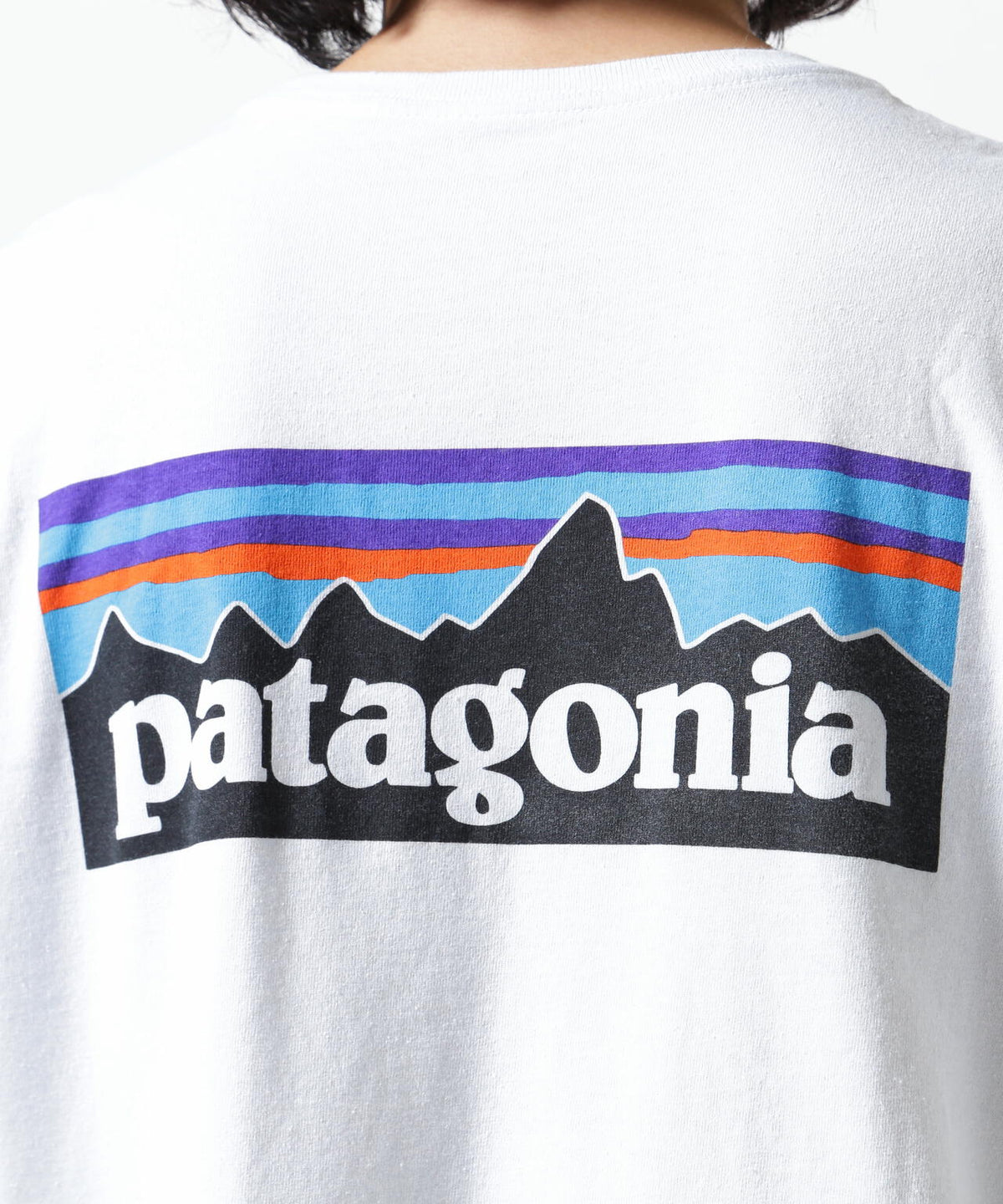 Patagonia/パタゴニア メンズ・ロングスリーブ・P-6ロゴ・レスポンシビリティー
