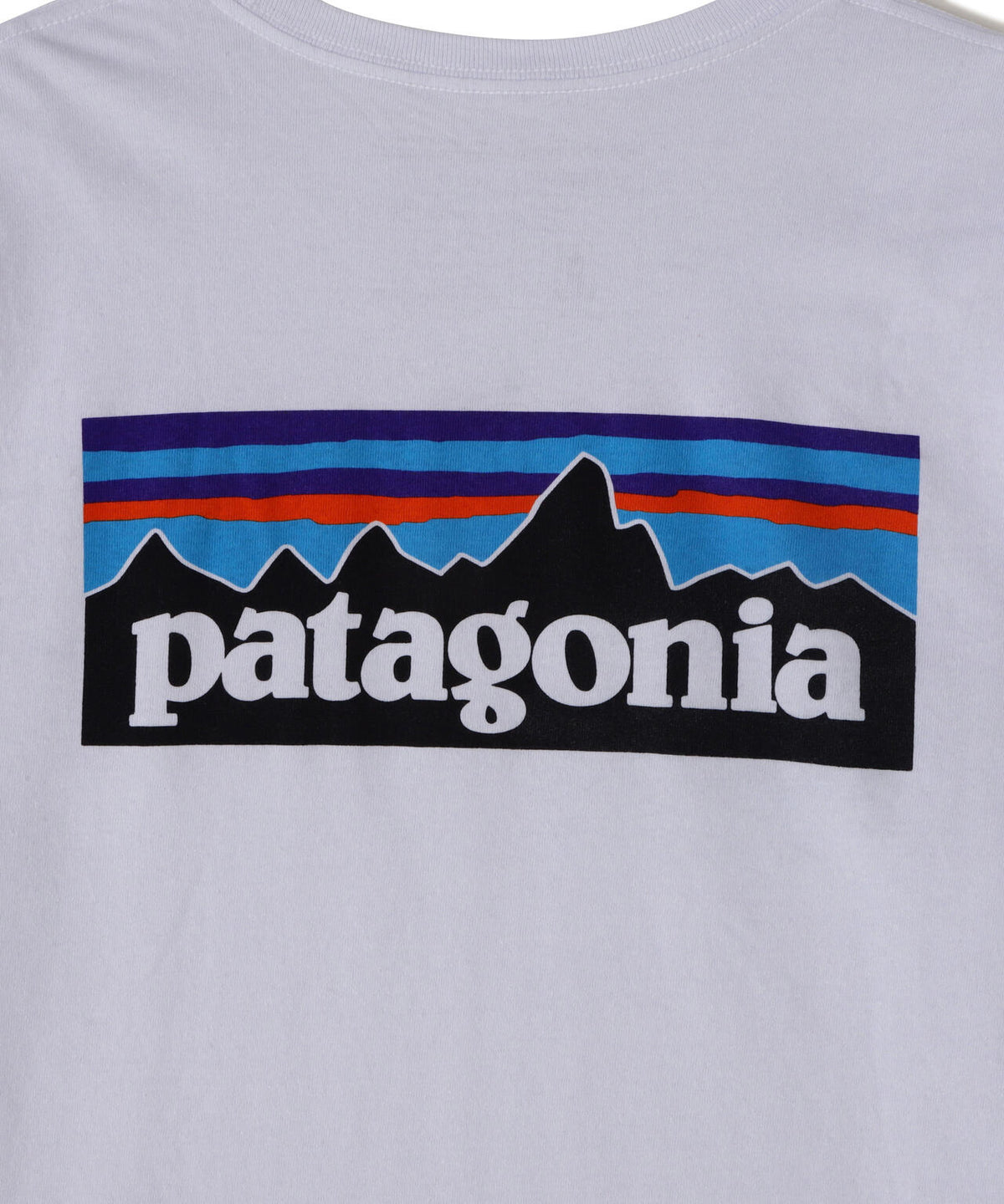 Patagonia/パタゴニア メンズ・ロングスリーブ・P-6ロゴ・レスポンシビリティー