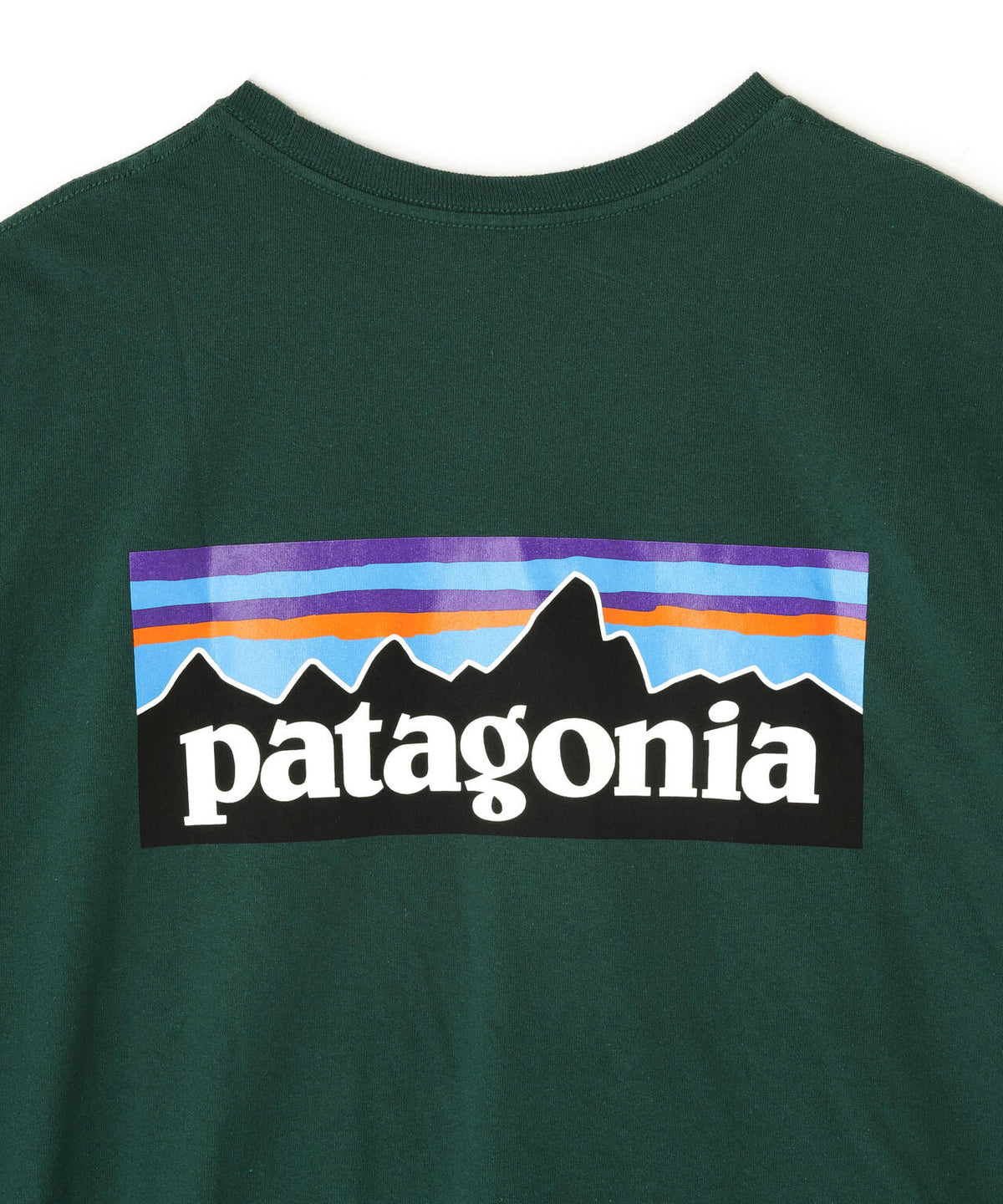 Patagonia/パタゴニア メンズ・ロングスリーブ・P-6ロゴ・レスポンシビリティー