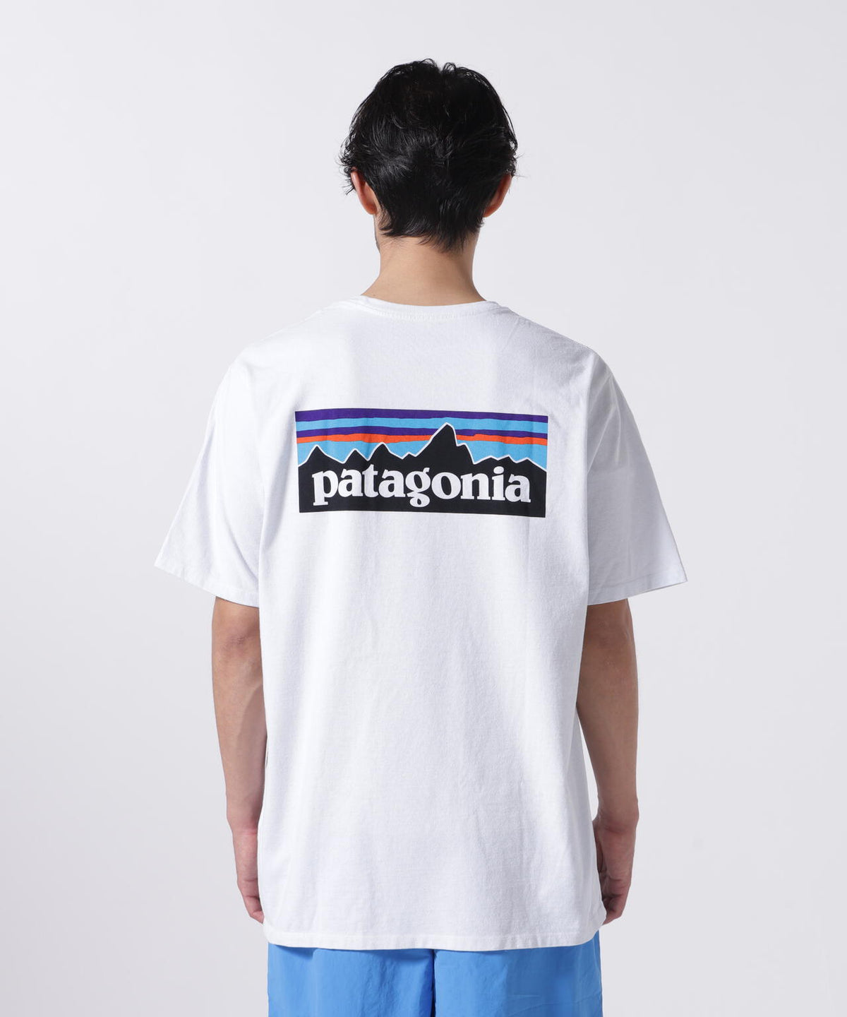 Patagonia/パタゴニア メンズ・P-6ロゴ・レスポンシビリティー