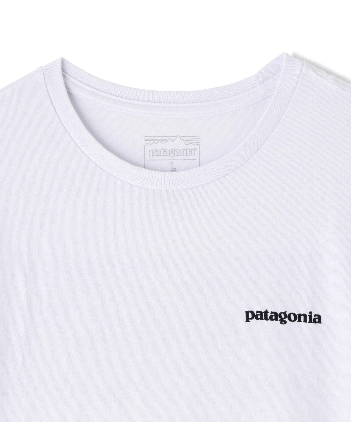 Patagonia/パタゴニア メンズ・P-6ロゴ・レスポンシビリティー