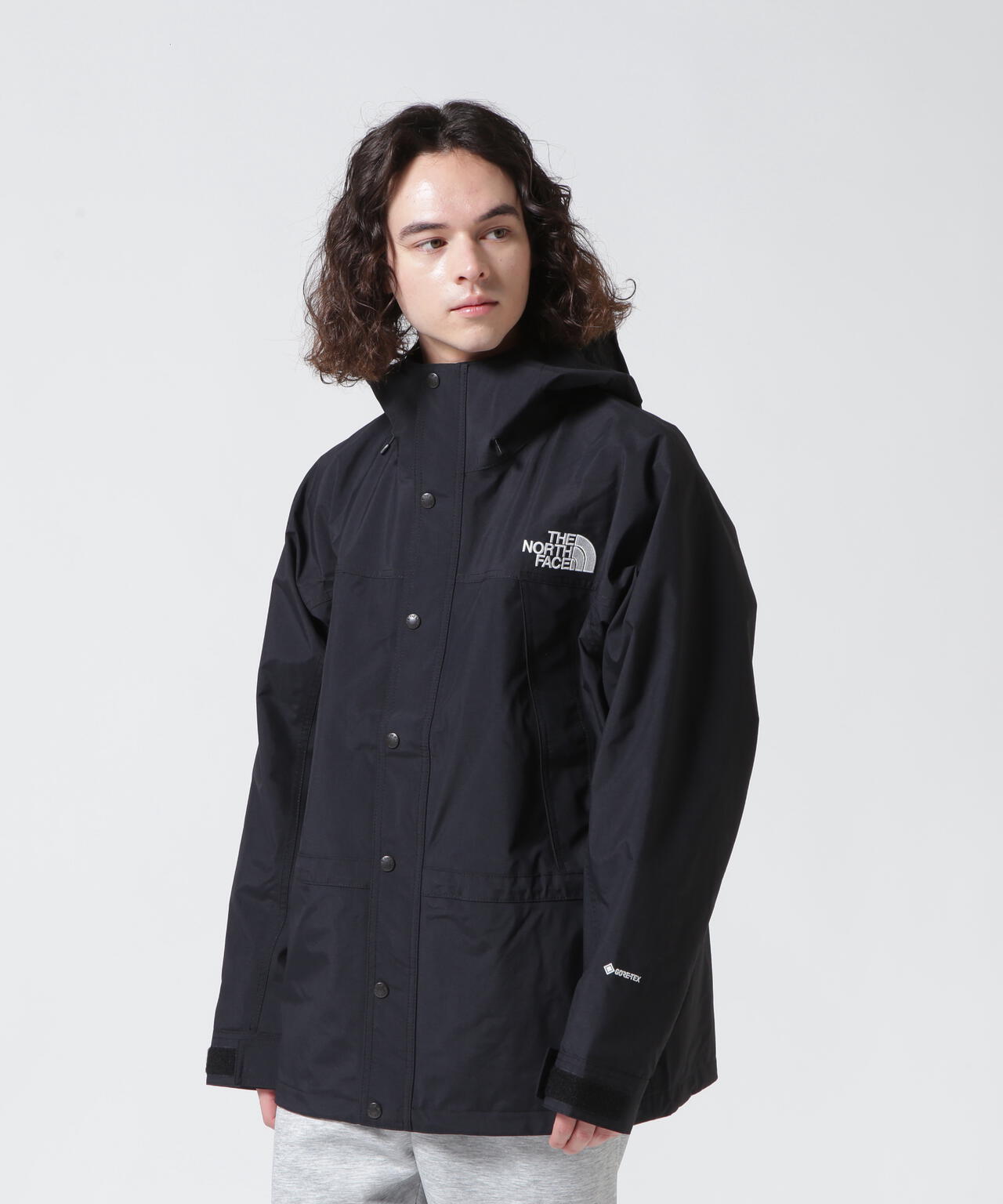 THE NORTH FACE/ザ・ノース・フェイス Mountain Light Jacket