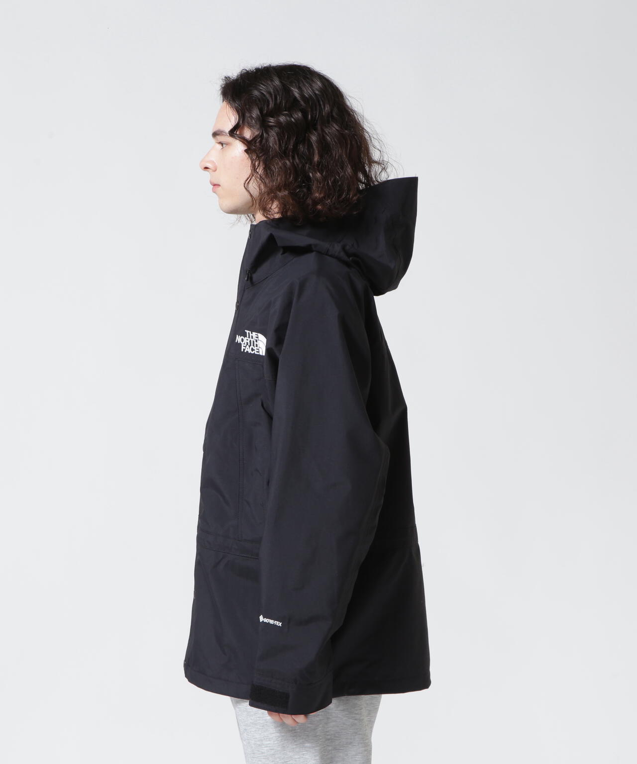 THE NORTH FACE/ザ・ノース・フェイス Mountain Light Jacket