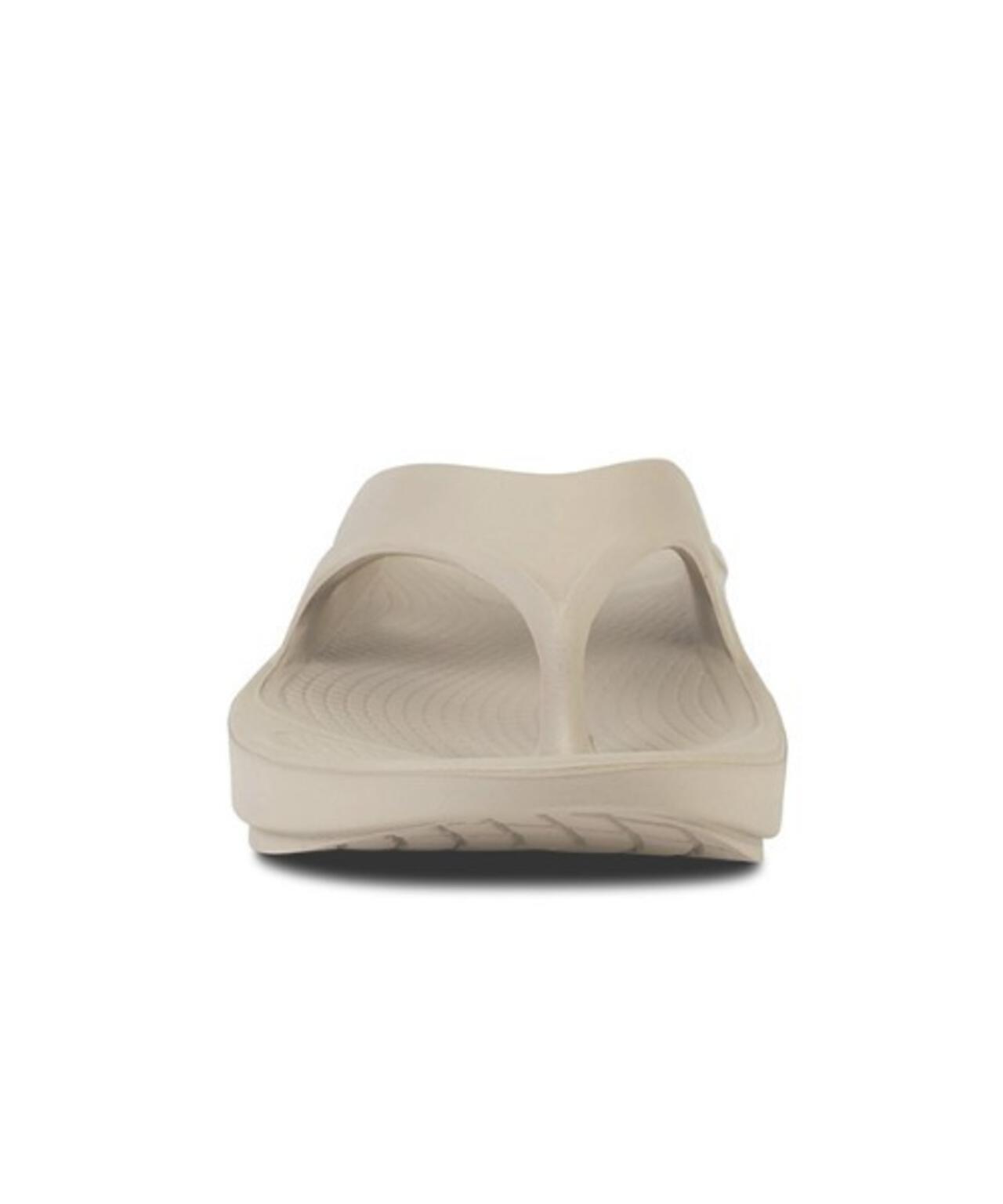 ed64256e-450c-5f91-a87b-f9ffbbd1854d_Image