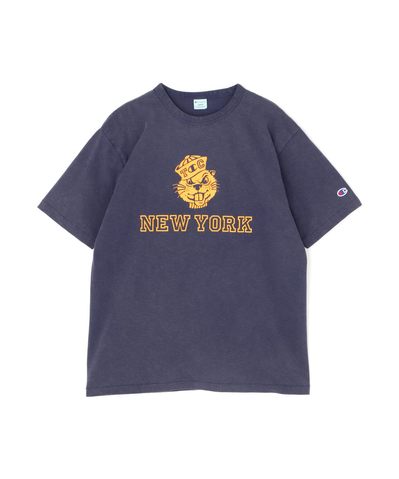 e24784af-0481-5214-bbf8-fe17b28fbce0_Image