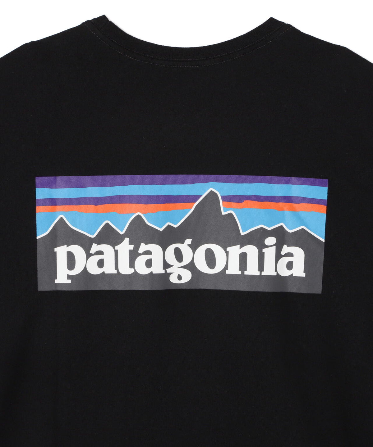 Patagonia/パタゴニア メンズ・P-6ロゴ・レスポンシビリティー