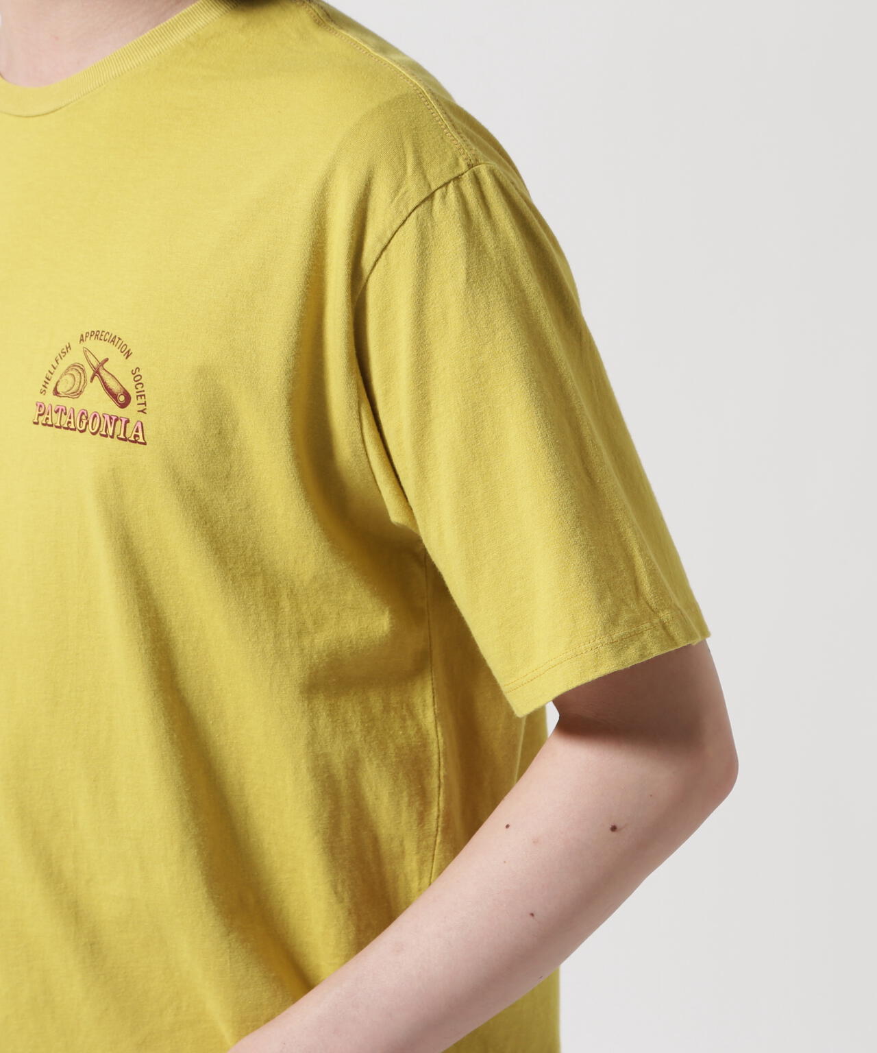 2fb45121-b4d7-51a2-874f-77acb3d013a6_Image