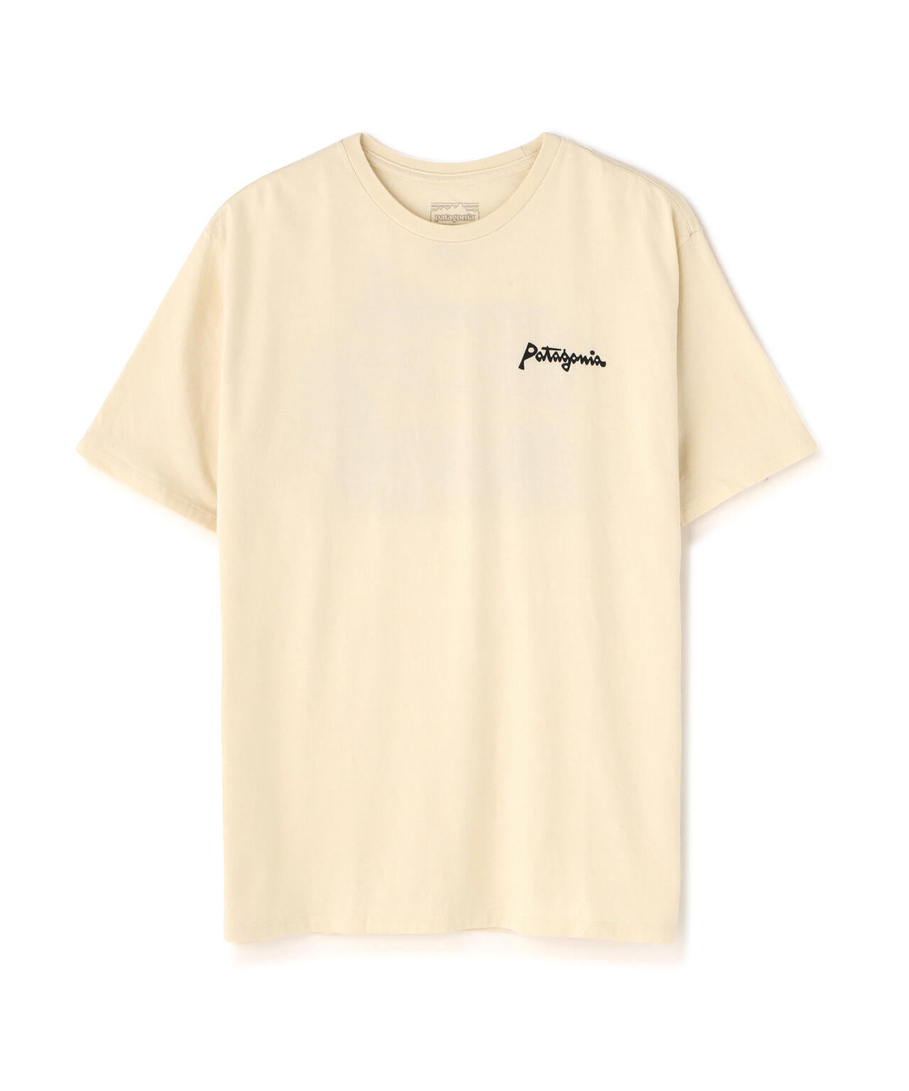 Patagonia/パタゴニア メンズ・アクアティック・アクション・オーガニック・Tシャツ