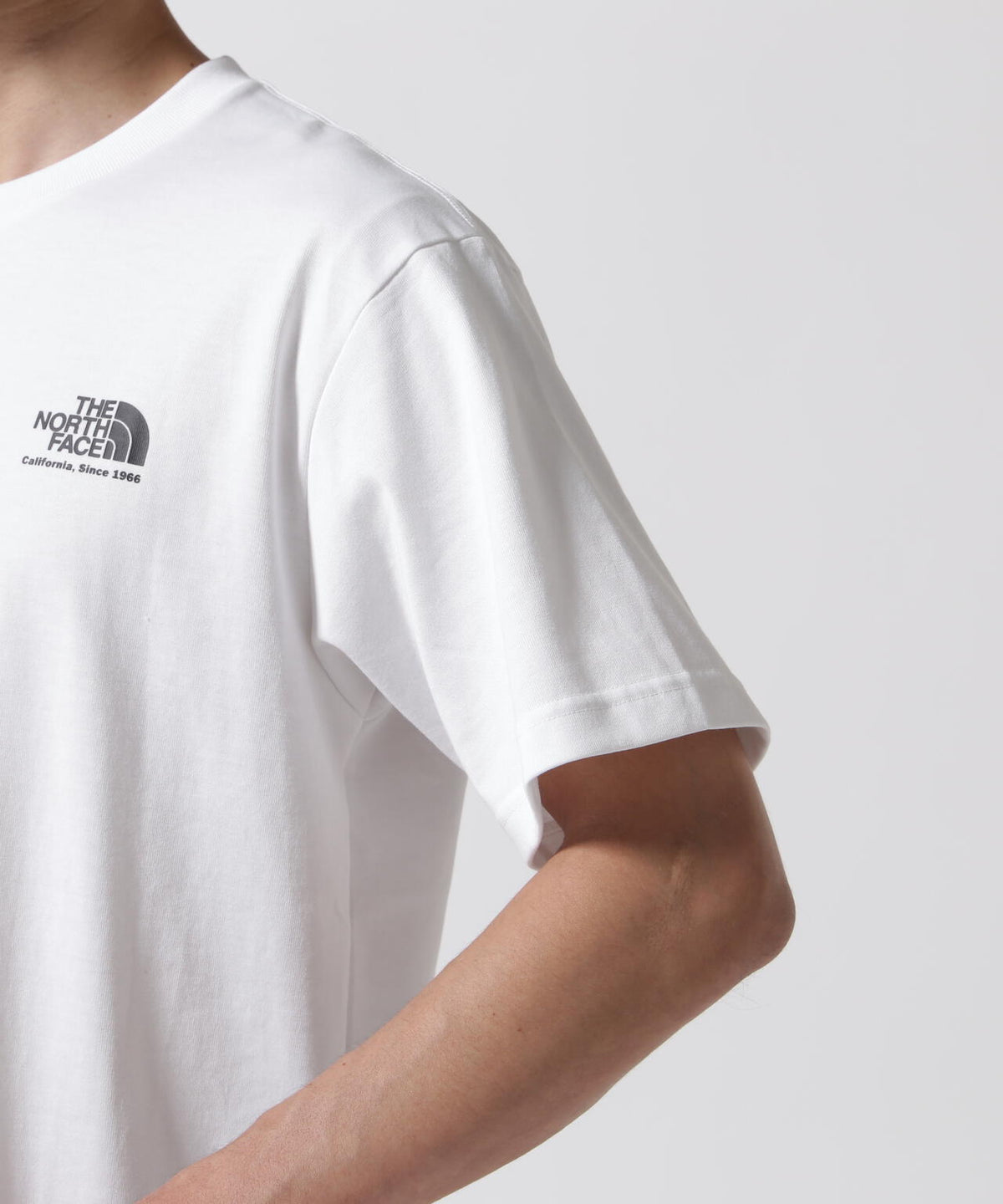 THE NORTH FACE/ザ・ノース・フェイス S/S Historical Logo Tee