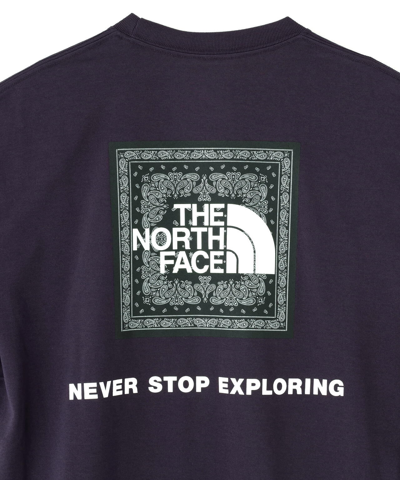 THE NORTH FACE S/S Bandana Square Logo Tee