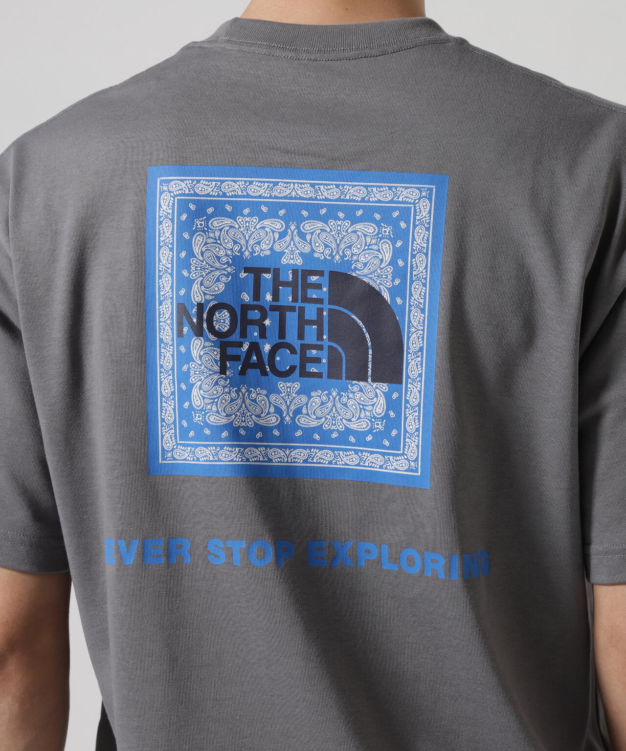 THE NORTH FACE S/S Bandana Square Logo Tee