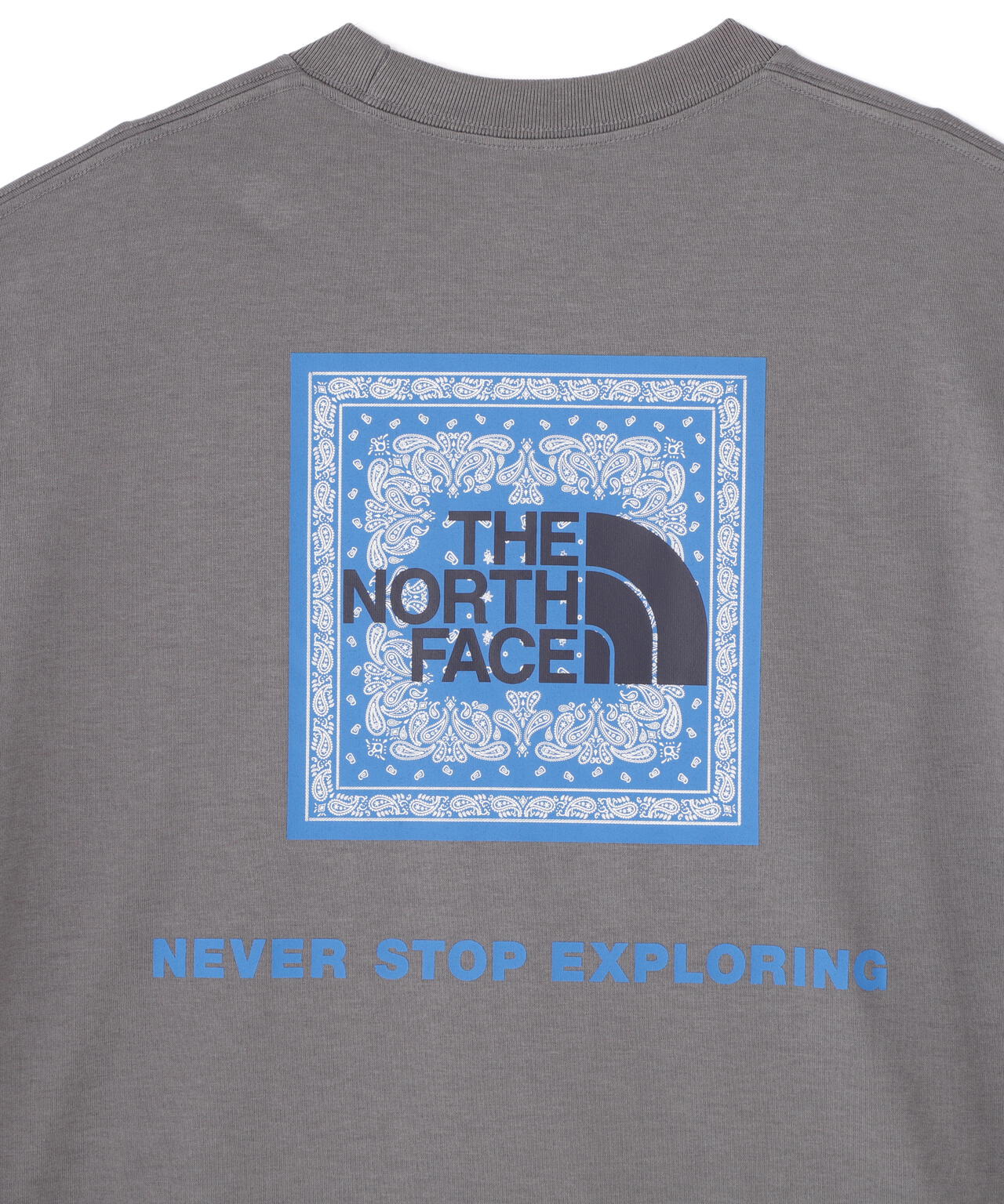 THE NORTH FACE S/S Bandana Square Logo Tee