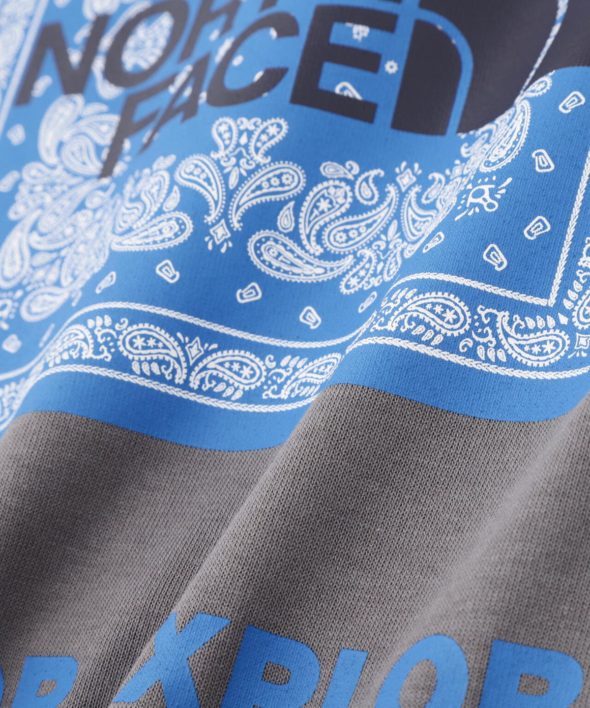 THE NORTH FACE S/S Bandana Square Logo Tee