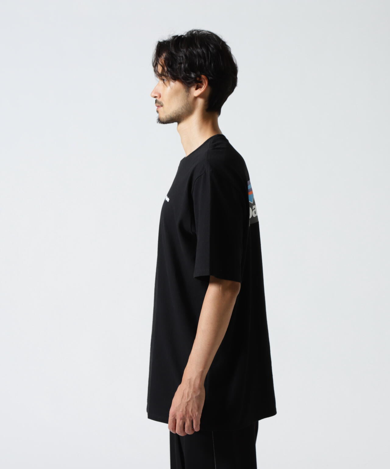 Patagonia/パタゴニア メンズ・P-6ロゴ・レスポンシビリティー